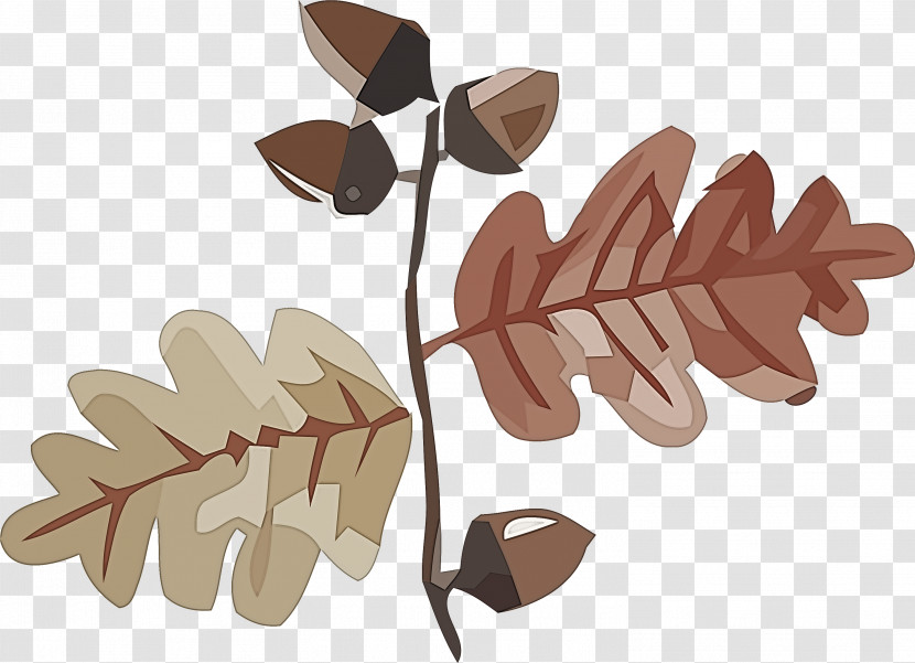 Leaf /m/083vt Tree Wood Font Transparent PNG