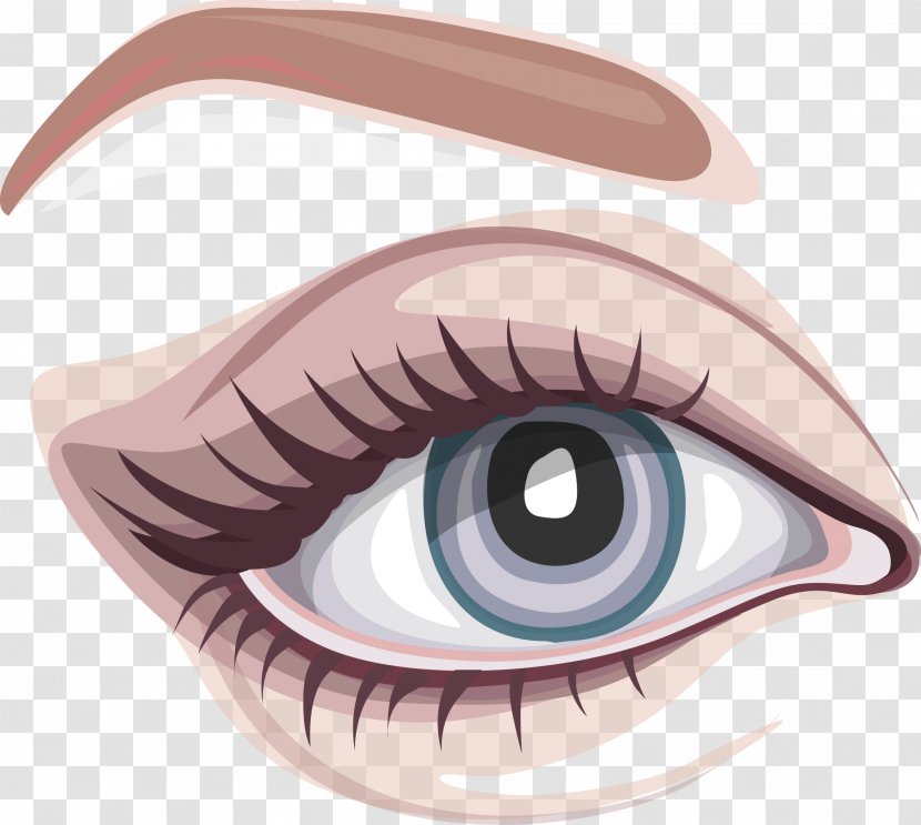 Iris Eyebrow Euclidean Vector - Cartoon - Big Eye Map Transparent PNG