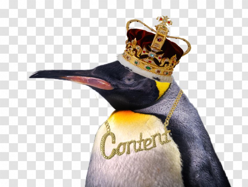 King Penguin Cupcake Crown Jewels Of The United Kingdom Cake Decorating Transparent PNG