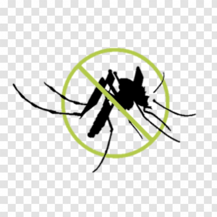 Siberian Husky Wool Animal Spinning Insect - Mosquito Transparent PNG