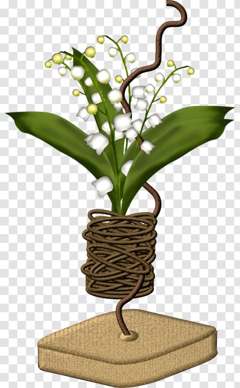 Lily Of The Valley Cut Flowers Floral Design Blume - May 1 - Elf Transparent PNG