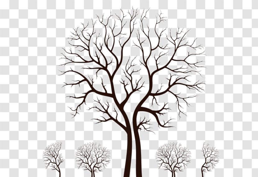 Wall Decal Tree Sticker Branch - Artwork Transparent PNG