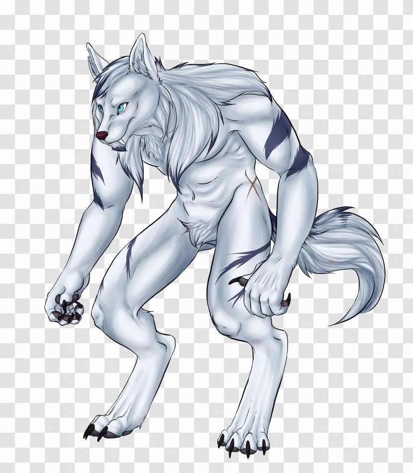 Canidae Werewolf Sketch Cat Illustration - Tree Transparent PNG