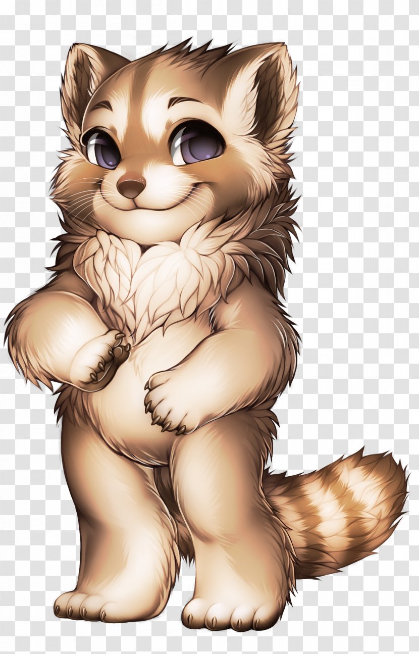 Whiskers Raccoon Ferret Weasels Cat - Cute Transparent PNG