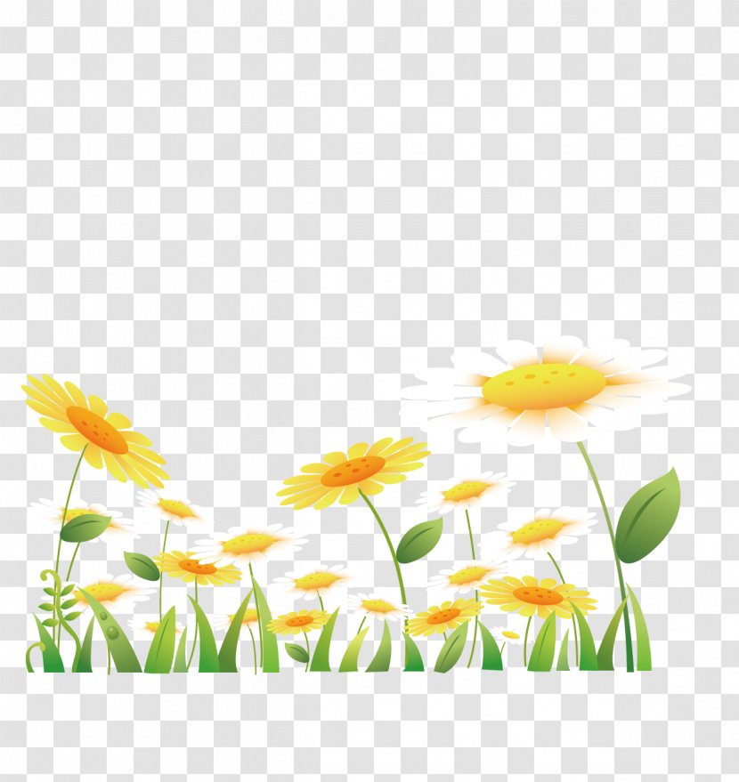 Weeping Willow Common Sunflower Cartoon - Vector Painted Sunflowers Transparent PNG