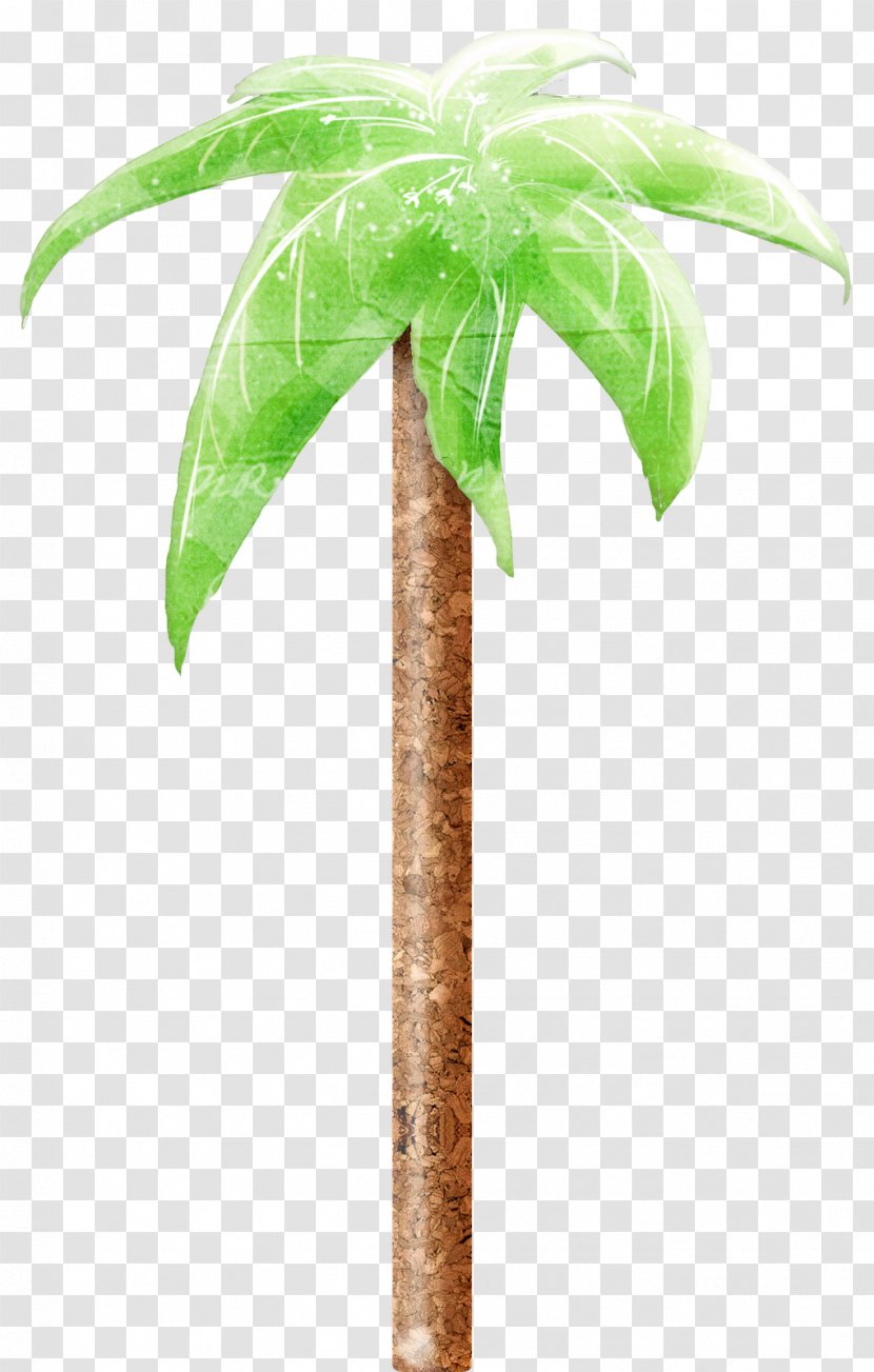 Coconut Flowerpot Date Palm Plant Stem Trees Transparent PNG