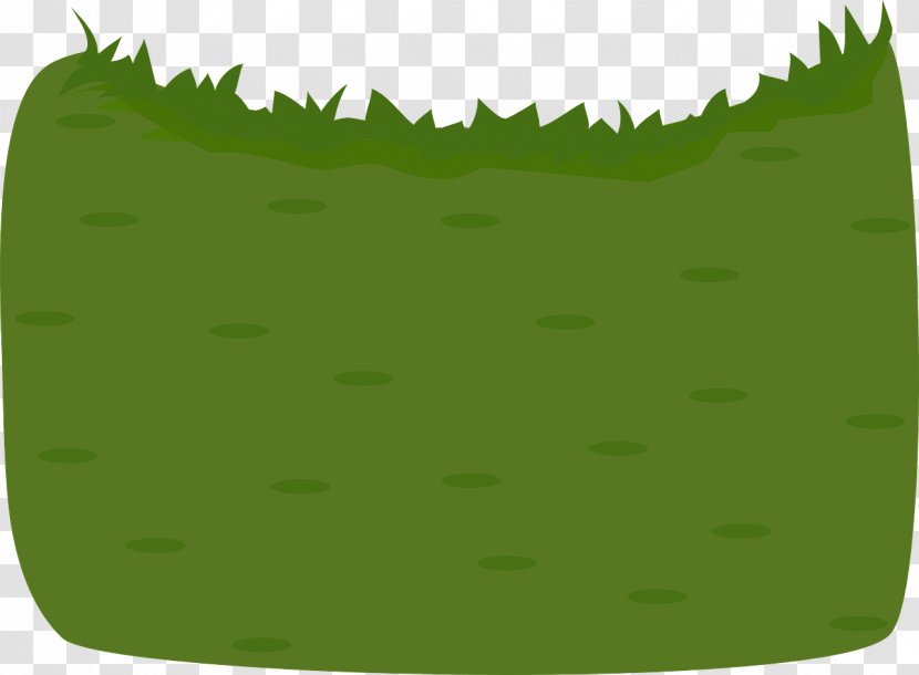 Meadow Grass Lawn Artificial Turf Sprachraupe - Field Transparent PNG