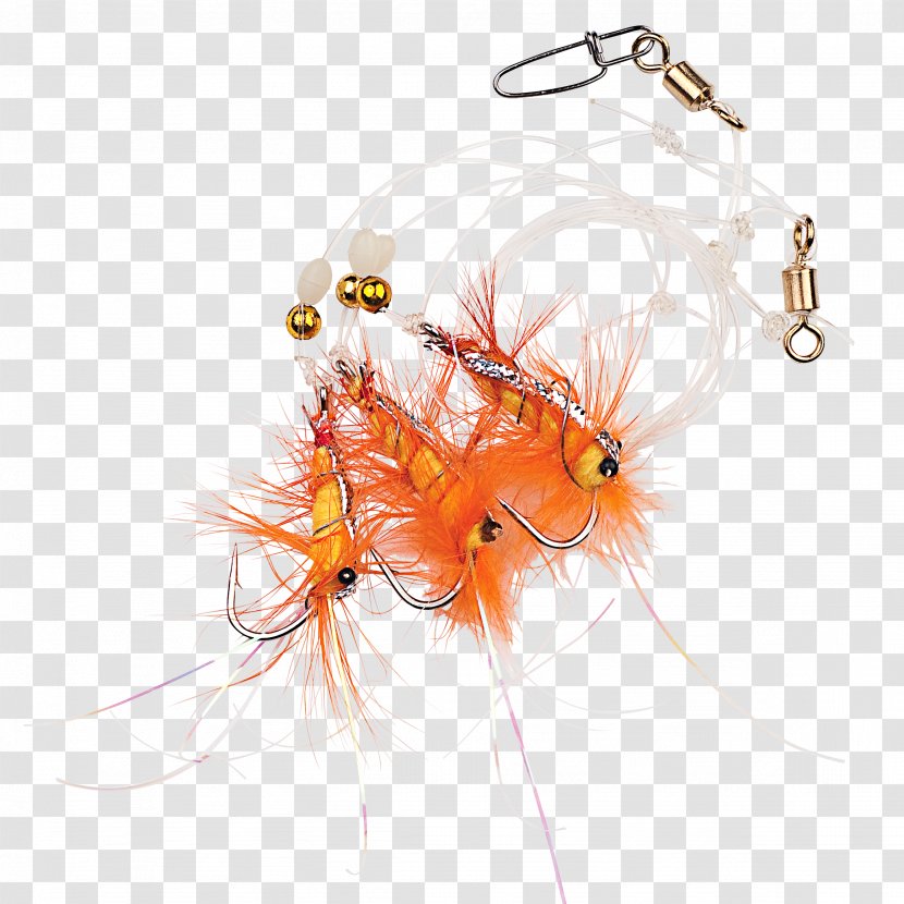 Angling Paternoster Norway Przypon Gadidae - Organism - Dried Shrimp Transparent PNG