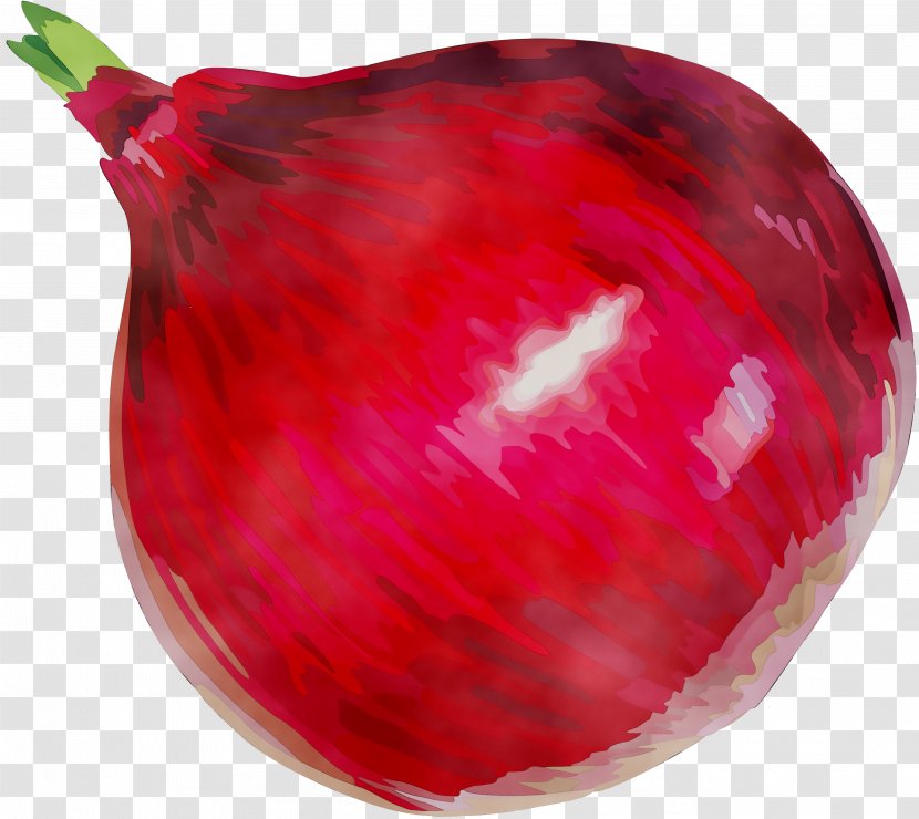 Christmas Ornament Day Fruit RED.M - Plant Transparent PNG