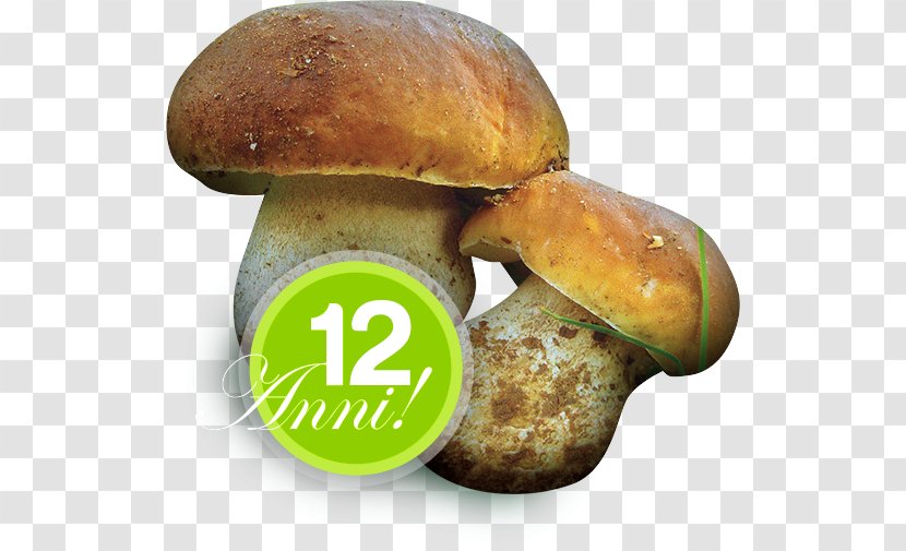 Sagra Edible Mushroom Fungus Festival Cusano Mutri - Fungo Transparent PNG