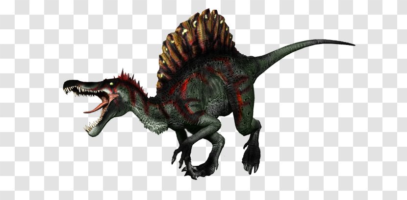 Velociraptor Tyrannosaurus Dragon Animal - Dinosaur Transparent PNG