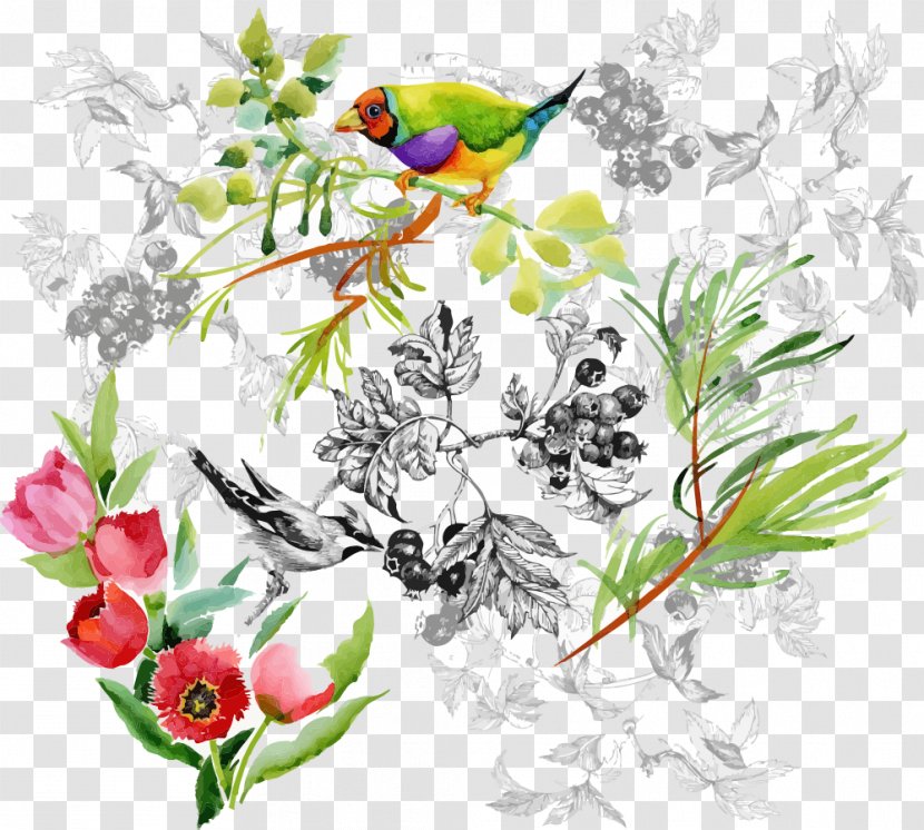 Floral Design Watercolor Painting Drawing Illustration - Beak - Vector Cartoon Bird Transparent PNG