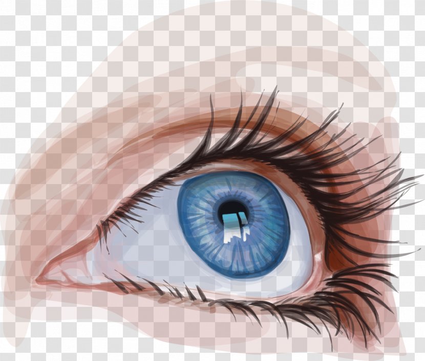 Googly Eyes Iris - Flower - Vector Hand-painted Transparent PNG