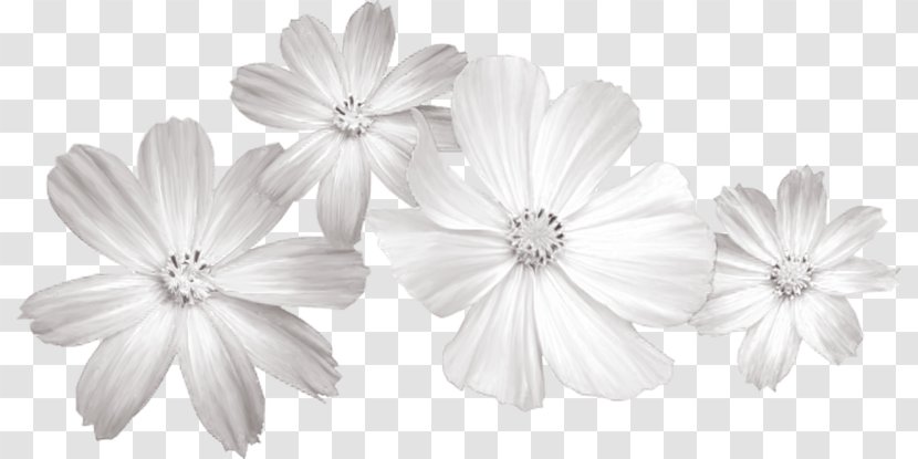 White Flower Clip Art - Monochrome Photography - Flowers Transparent PNG