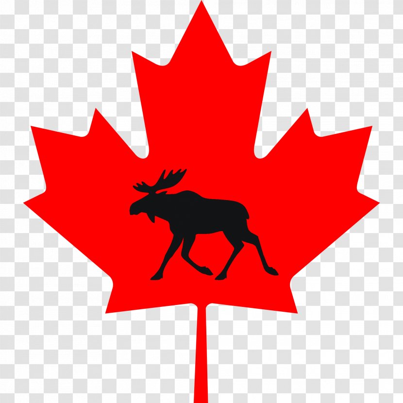 Maple Leaf Canada Clip Art - Flag Of Transparent PNG