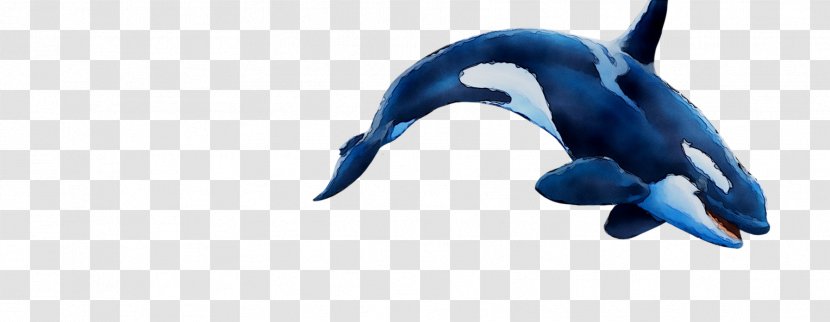 Dolphin Cobalt Blue Beak - Tail Transparent PNG