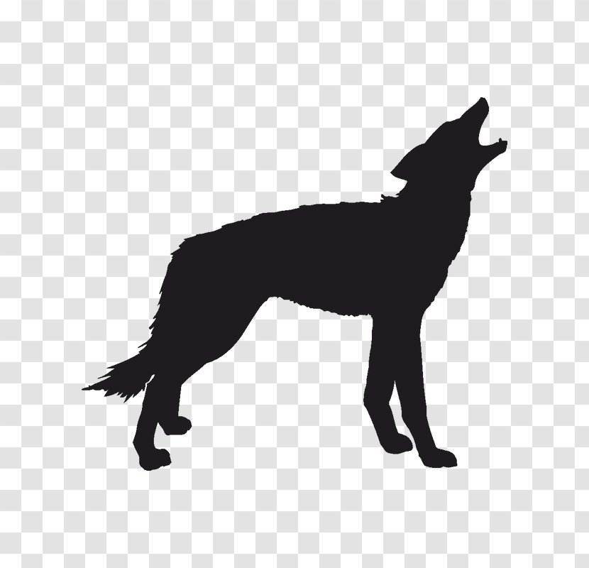 Gray Wolf Coyote Silhouette Clip Art - Black Transparent PNG