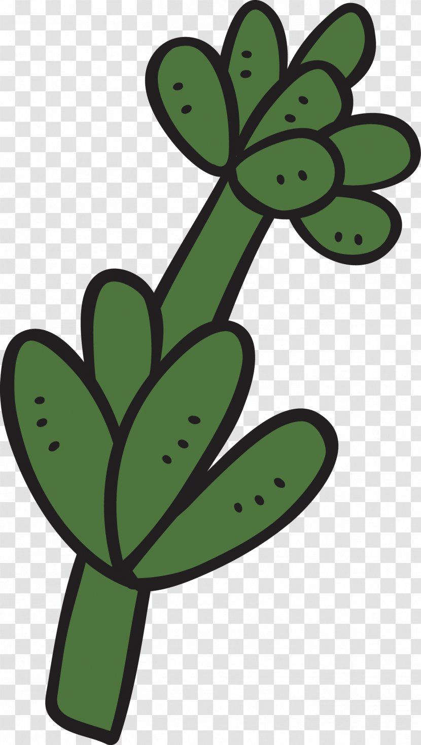 Cartoon Succulent Plant Cactaceae - Flowering - Part Of The Cactus Transparent PNG