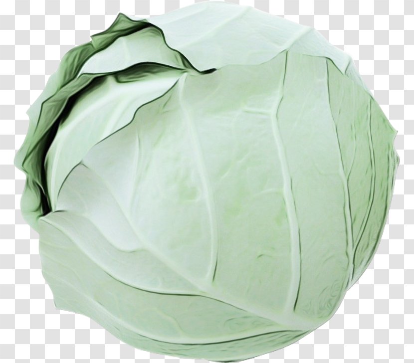 Green Leaf Watercolor - Wild Cabbage Transparent PNG