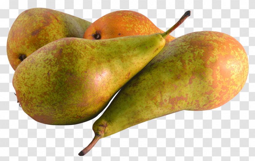 Pear Fruit - Ripening - Produce Transparent PNG