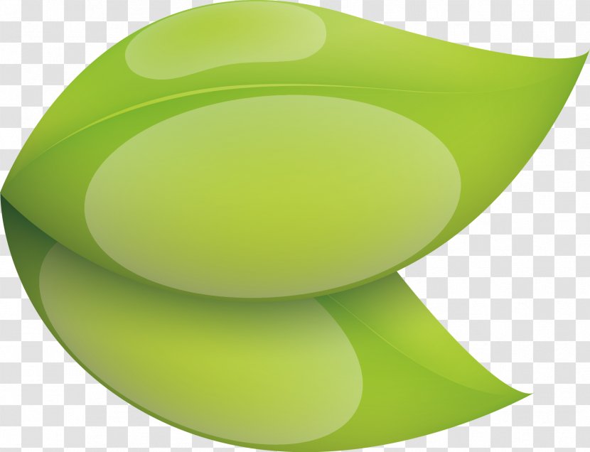 Download Circle Angle - Oval - Leaf Transparent PNG