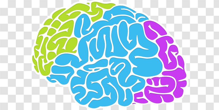 Brain Intelligence Neuroscience Memory Cognition - Flower - Intelligent Transparent PNG