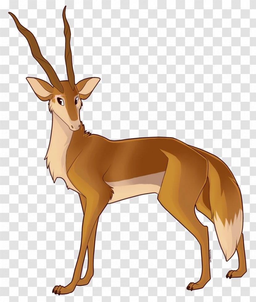 White-tailed Deer Gazelle Dog Antler - Horn Transparent PNG
