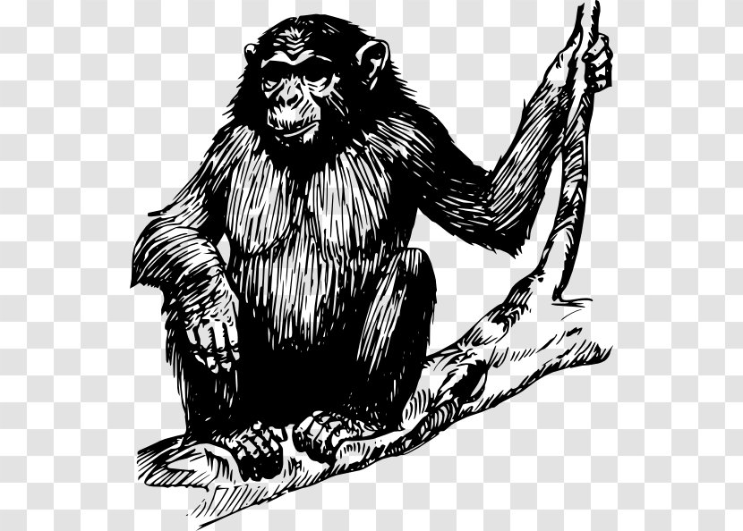 Chimpanzee Ape Gorilla Clip Art - Fictional Character - Vector Transparent PNG