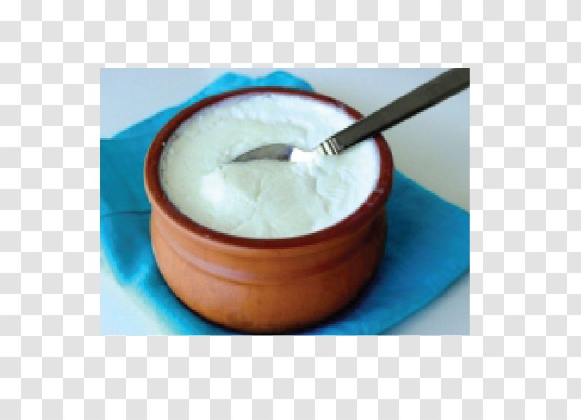 Curd Rice Lassi Paratha Raita Indian Cuisine - Inlife Healthcare Transparent PNG