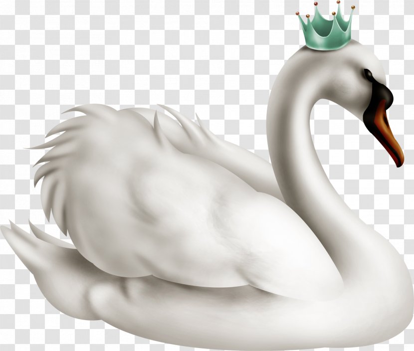 Cygnini Duck The Swan Princess Domestic Goose - Prince - Crown Transparent PNG