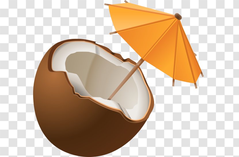 Vecteur Icon - Logo - Coconut Transparent PNG