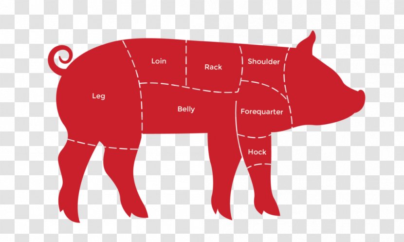 Domestic Pig Cattle An Average Vegans Guide To Being Vegan Livestock Rubber Stamping - Fictional Character - Show Transparent PNG
