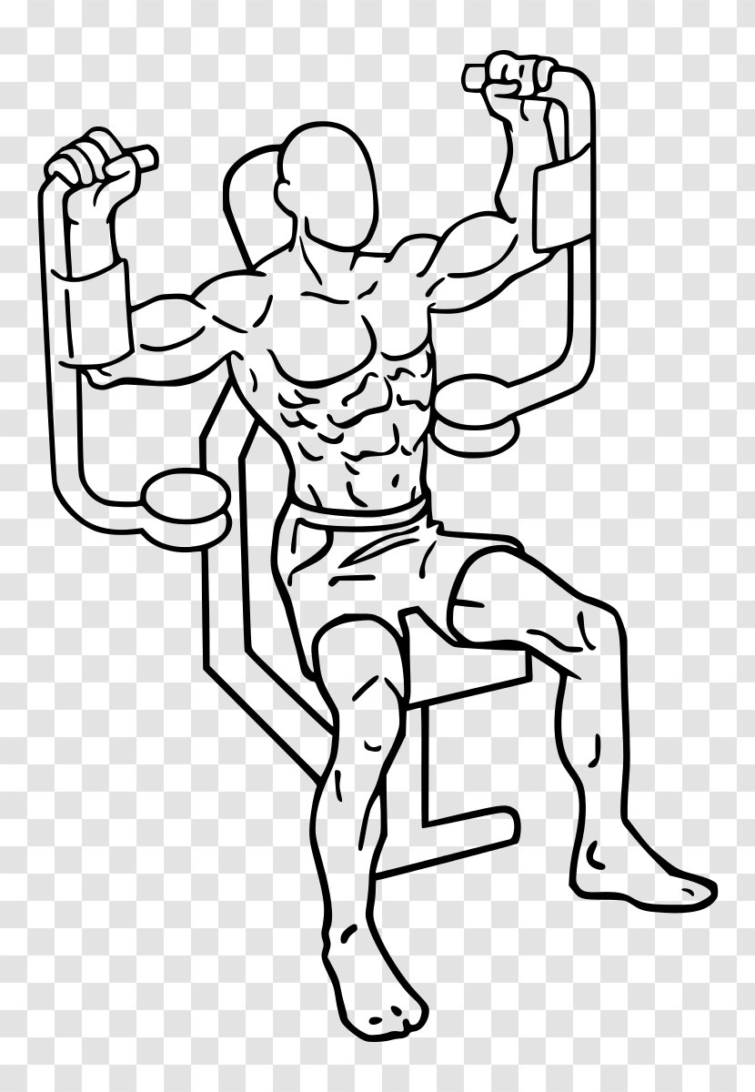 Overhead Press Exercise Dumbbell Shoulder Barbell - Watercolor - Butterfly Machine Transparent PNG
