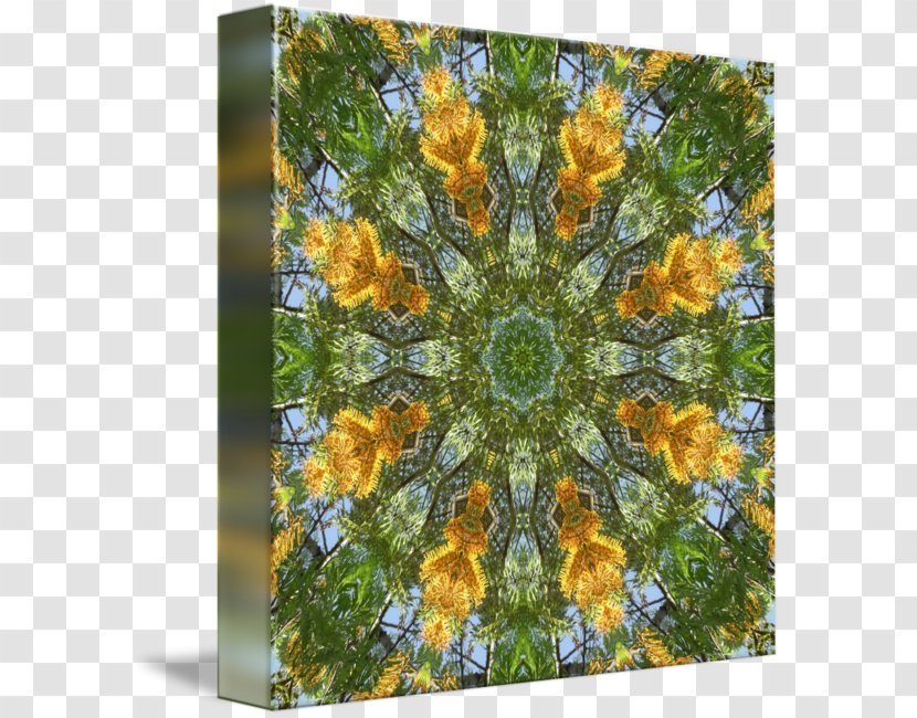 Sunflower M Wildflower Pattern - Yellow - Tree Transparent PNG