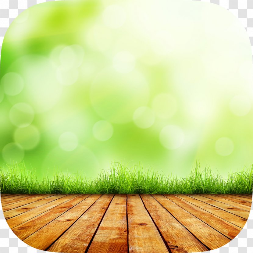 Desktop Wallpaper Image Stock Photography Nature - Royaltyfree - Grass Hd Images Transparent PNG