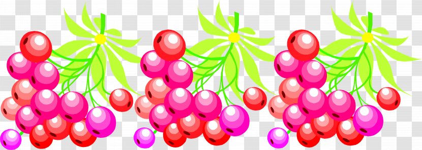 Fruit Grape Berry Guava Blackcurrant - Cherry Flower Transparent PNG