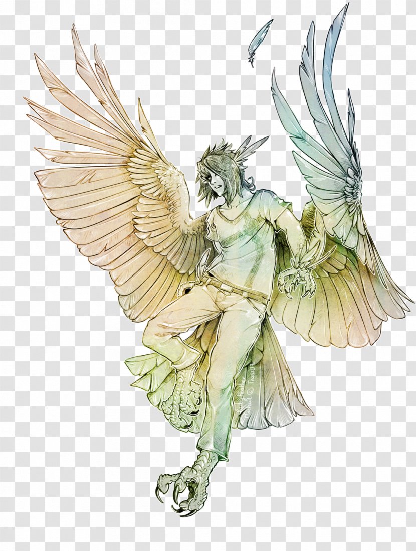 Eagle Bird - Angel - Cockatoo Cockatiel Transparent PNG