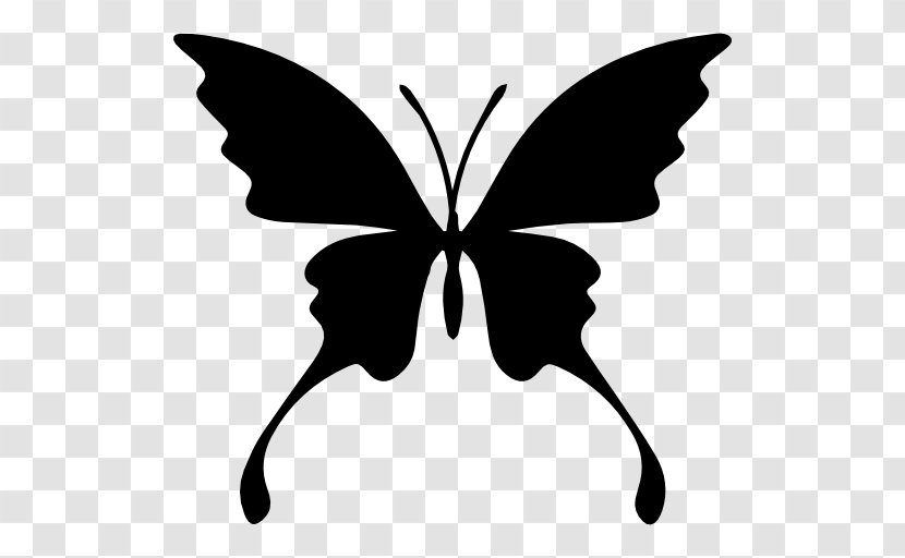 Butterfly Insect Silhouette Clip Art - Stencil Transparent PNG