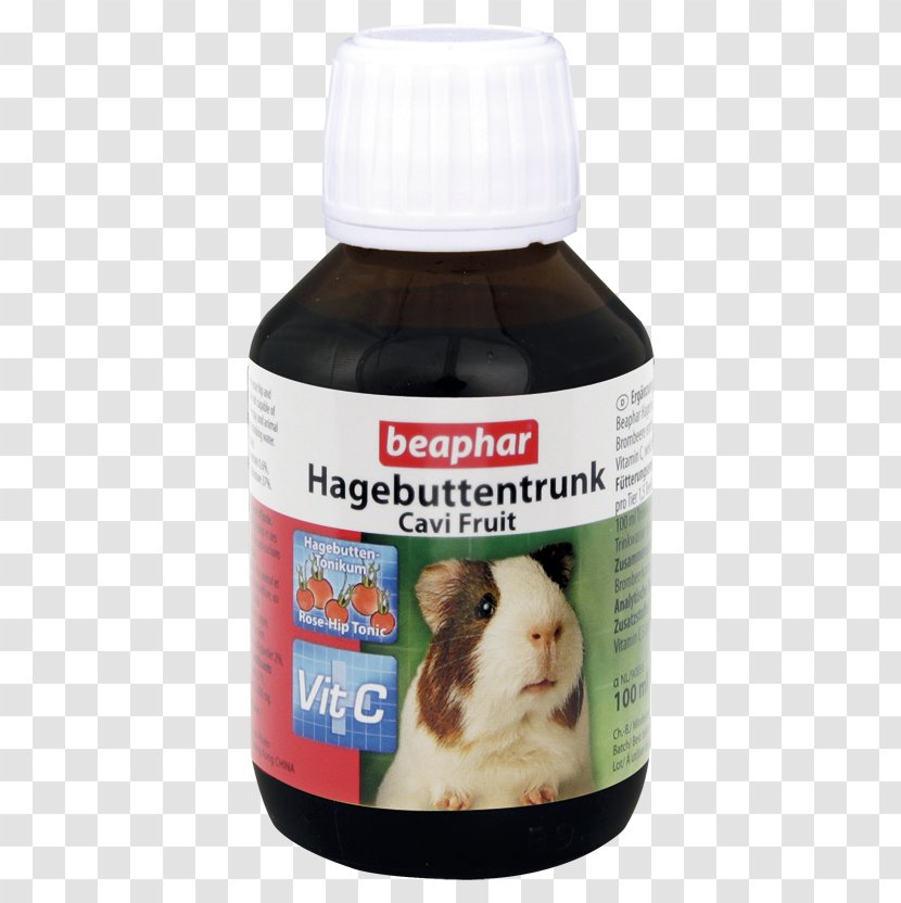 Guinea Pig Hamster Chinchilla Rodent - Ascorbic Acid - Vitamin Fruit Transparent PNG