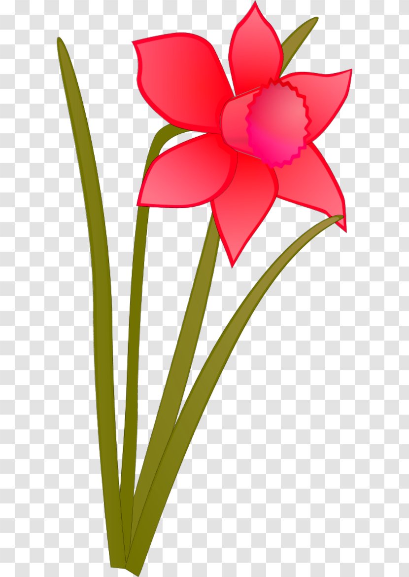 Daffodil Flower Clip Art - Stock Photography - Cartoon Transparent PNG