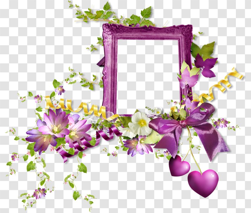 Picture Frames Flower Floral Design Photography - Flora Transparent PNG