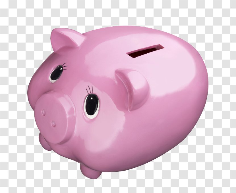 Piggy Bank Domestic Pig Pink - Gift Transparent PNG