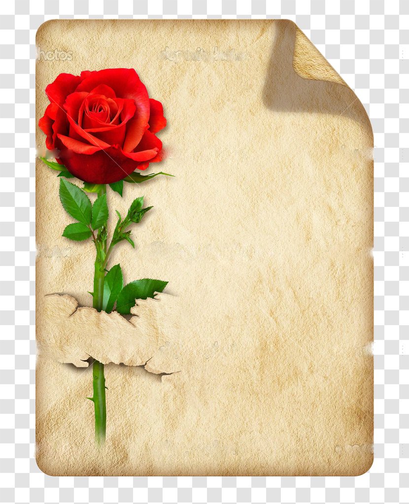 Printing And Writing Paper Parchment Letter Drawing - Flower - Hojas De Papel Transparent PNG