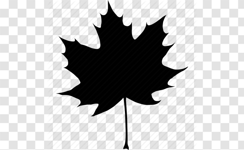 Canada Acer Nigrum Maple Leaf Autumn - Black And White - Black, Autumn, Canada, Canadian, Fall, Leaf, Maple, Tree Icon Transparent PNG