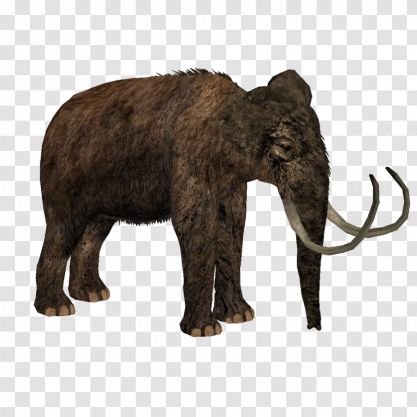 Woolly Mammoth Zoo Tycoon 2: Marine Mania Steppe African Bush Elephant Asian - Forest Animal Transparent PNG