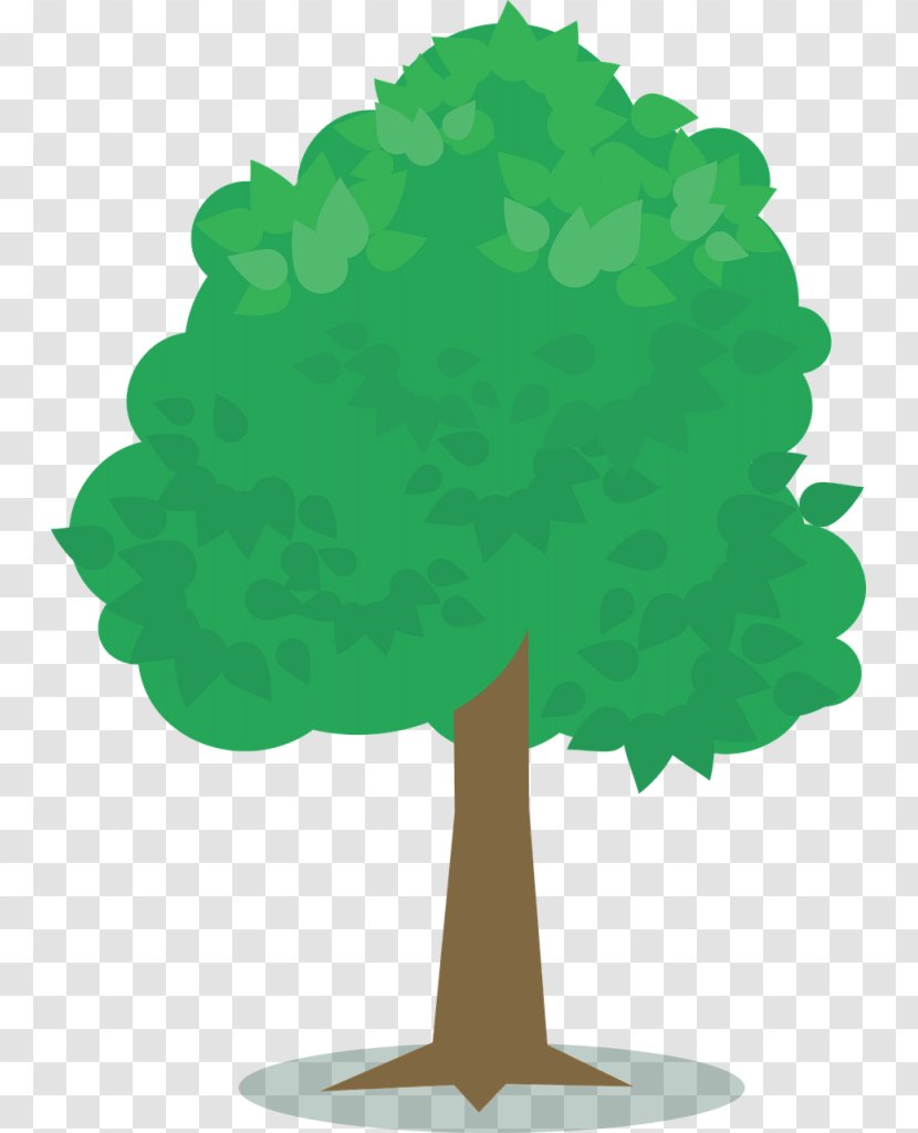 Tree T-shirt Green Plants Image - Evergreen Transparent PNG