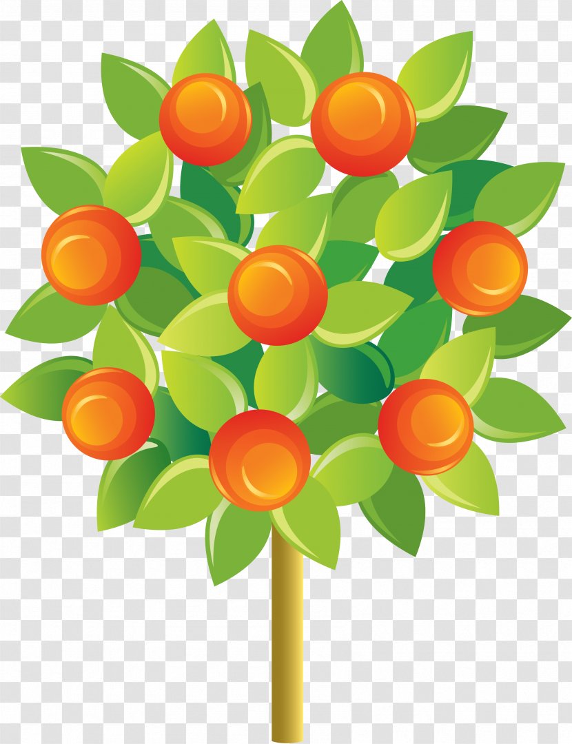Fruit Tree Tangerine Mandarin Orange - Cartoon Apple Transparent PNG