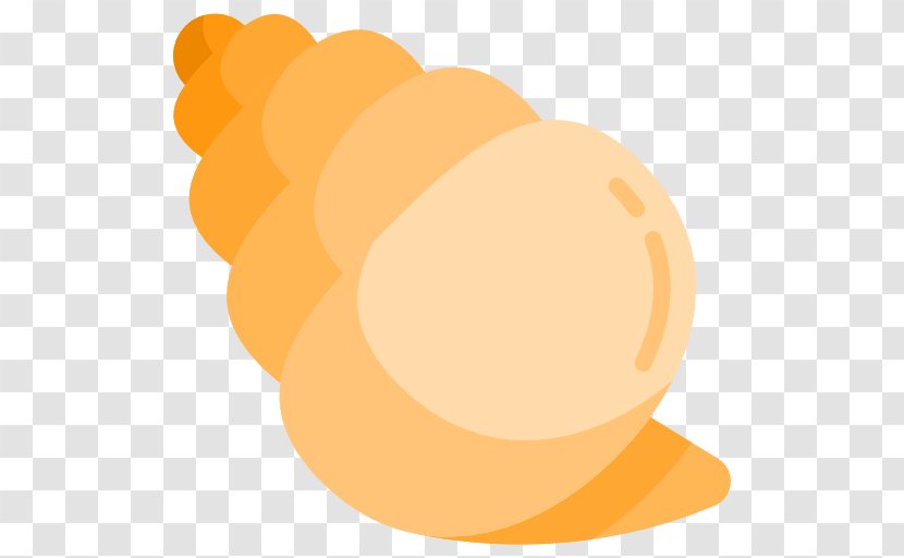 Seashell Clip Art - Caracol - Conch Transparent PNG