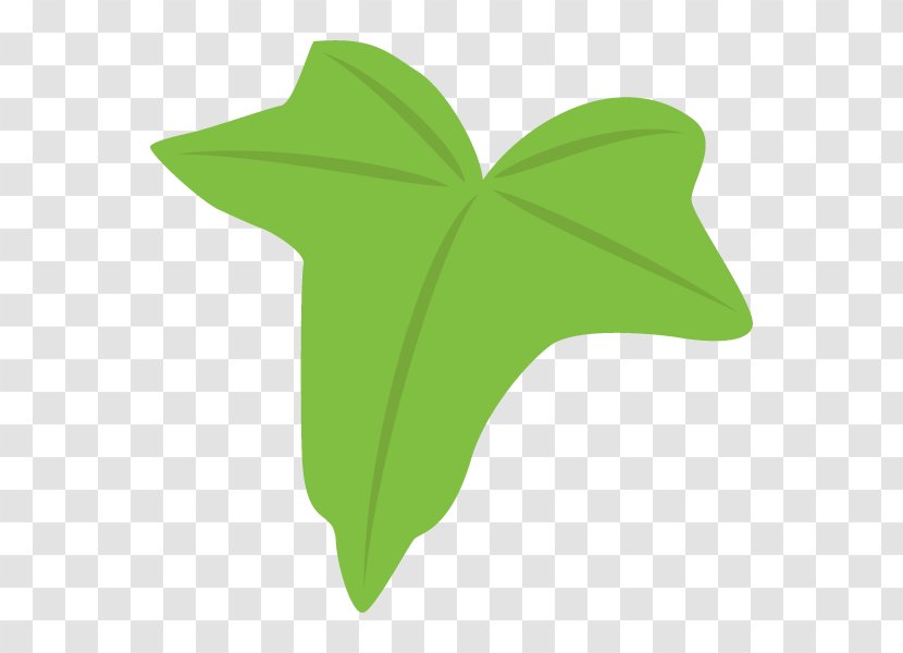 Leaf Illustration Boston Ivy Clip Art Plant Stem - Plants - Green Transparent PNG