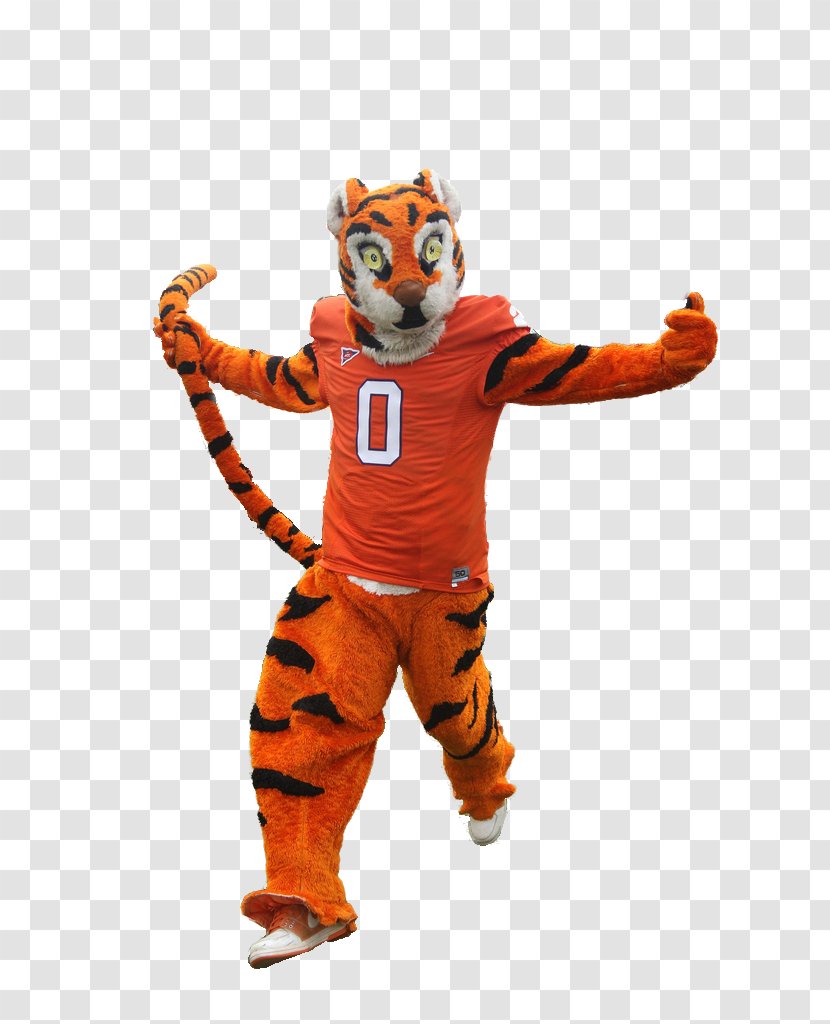 Tiger Mascot Costume Character Fiction - Big Cats - Virginia Tech Transparent PNG